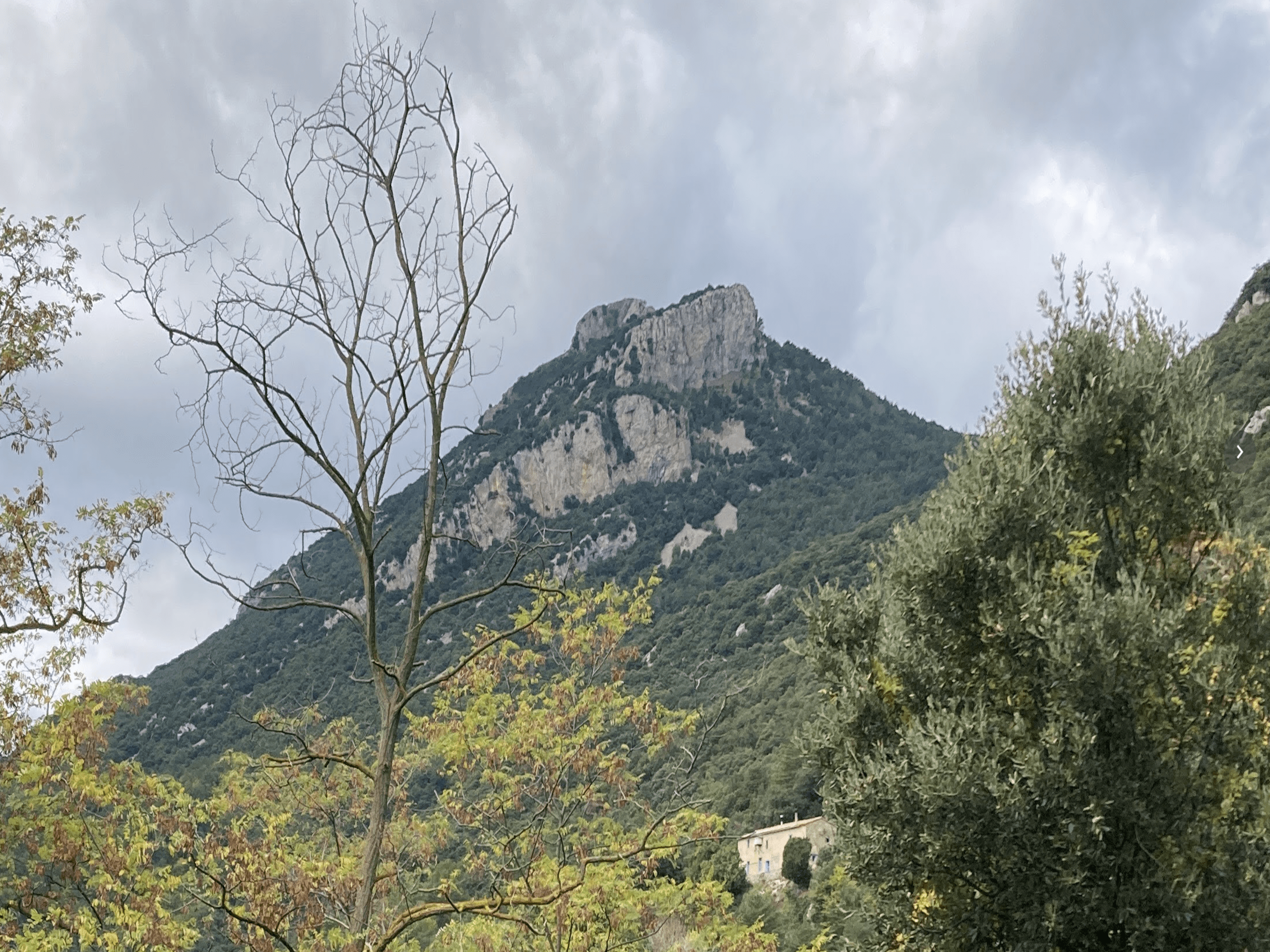 El cim del Bassegoda vist des del camí de Ribelles